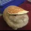 itzzalexboy2hehimhes17