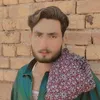 shan36100
