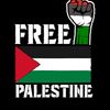 free_free__palestine___