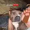 wade_05.20