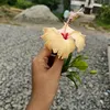 shatiislam045