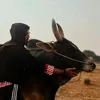 huzaifajaanii4