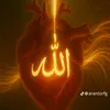 dj.hfh6