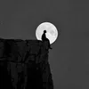 midnight.feelss7