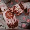 Mehandi Dairies