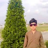 muhmmadumer24
