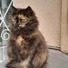 viktoriia60562