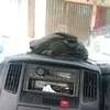tatang597