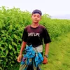 user7247549724349