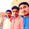 rashiddogar3179