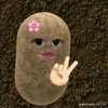na_lovely1
