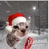 enen_23424