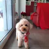 EverydayMoments