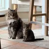 fluffandfurydaily