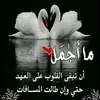 omarandkhadijaram