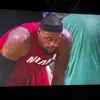 kingisdqgoat