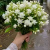 suborna171108598481
