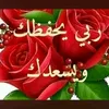 user92783272557437