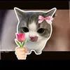 mdsahalhossain7