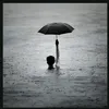 12ُّّّّّّّّّّّ ّّّّّّّّّّّّ:12
