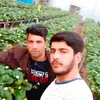 user542130544238
