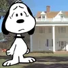 Snoopy နဲ့ ဆွေး