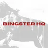 bingsterhq