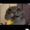 im_thing8