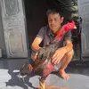 Cường tuyên quang