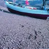 axmedcabdi3676