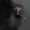 𝑬𝒎.