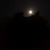 chadnisarkar851
