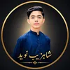 shahzaibnaveed_