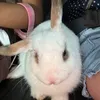 Holly._thebunny💕