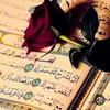 user1861450060384
