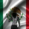 tuchacalito360