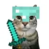xinn144p
