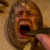 Trul meme | ترول میم