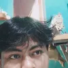 siball211