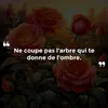 user5275632409773
