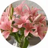 darlings_page