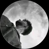 nuralmhasan3