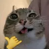 siapayhhan