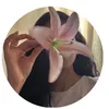 sonadora_2