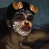 dondoinzincantor