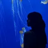 yulikharisna1