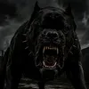 kingjevonn