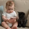 mswsseg