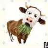 phuonq_0109
