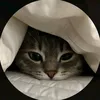 anfakwt